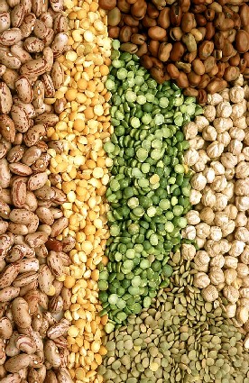 Pulses and legumes